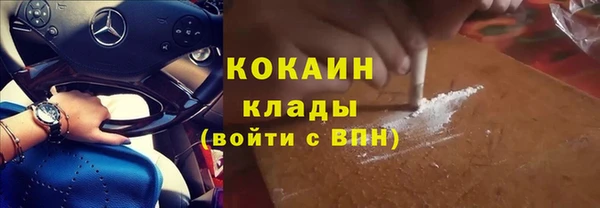 хмурый Абаза