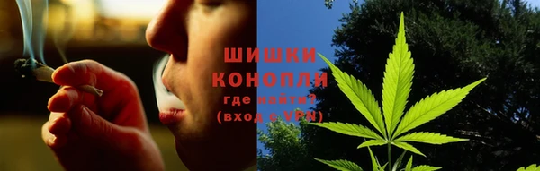 хмурый Абаза