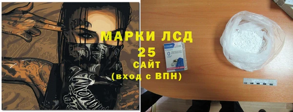 хмурый Абаза