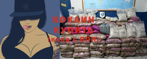 хмурый Абаза
